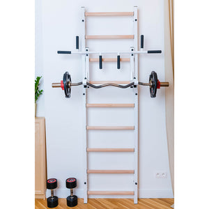 BenchK 731 Swedish Ladder Wall Bars with Steel Pullup Bar White