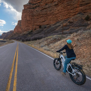 Bakcou Mule Step-Through (ST) 24" E-Bike