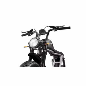 CycleBoard SS-1200 E-Bike