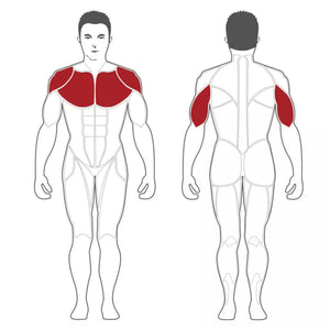 Steelflex PSBP Seated Chest Press Plate Loaded