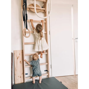 BenchK 111 Swedish Ladder Wall Bars with Gymastics Accessories