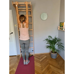 BenchK 111 Swedish Ladder Wall Bars