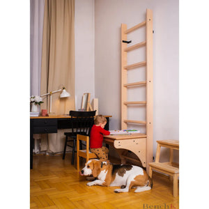 BenchK 112 Swedish Ladder Wall Bars with Desk