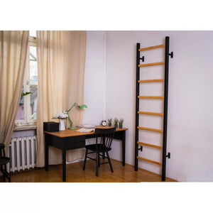 BenchK 200 Swedish Ladder Wall Bars Black