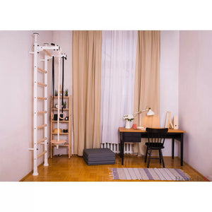 BenchK 521 Swedish Ladder Wall Bars with Gymnastics Accessories