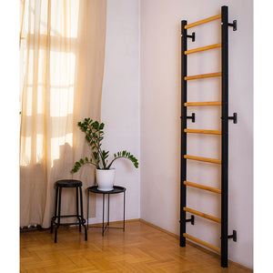 BenchK 700 Swedish Ladder Wall Bars Black