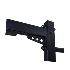 BenchK 721 Swedish Ladder Wall Bars with Steel Pullup Bar