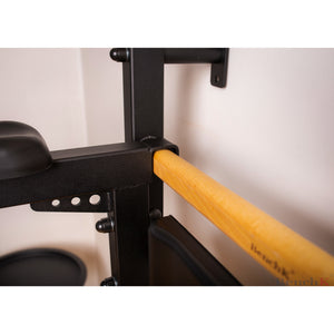 BenchK 722 Swedish Ladder Wall Bars with Dip Bar