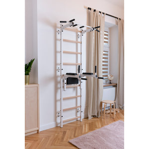 BenchK 722 Swedish Ladder Wall Bars with Dip Bar