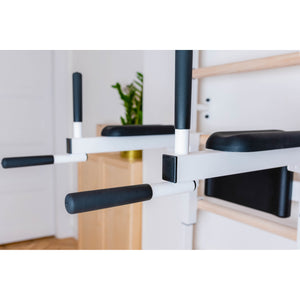 BenchK 722 Swedish Ladder Wall Bars with Dip Bar