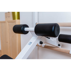 BenchK 723 Swedish Ladder Wall Bars with Dip Bar & Bench