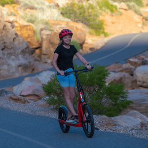 Bakcou Badger Electric Scooter