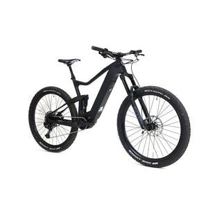 Bakcou Carbon Alpha E-Bike