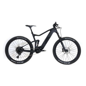 Bakcou Carbon Alpha E-Bike