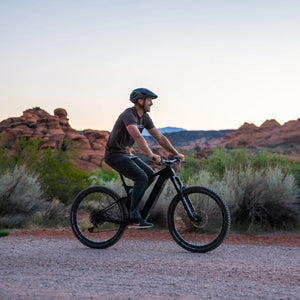 Bakcou Carbon Alpha E-Bike