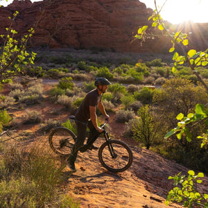 Bakcou Carbon Alpha E-Bike