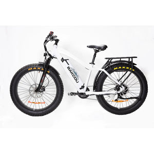 Bakcou Flatlander E-Bike