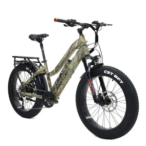 Bakcou Flatlander ST 24 E-Bike