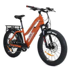 Bakcou Flatlander ST 24 E-Bike