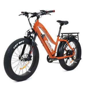 Bakcou Flatlander ST 24 E-Bike