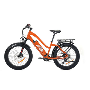 Bakcou Flatlander ST 24 E-Bike