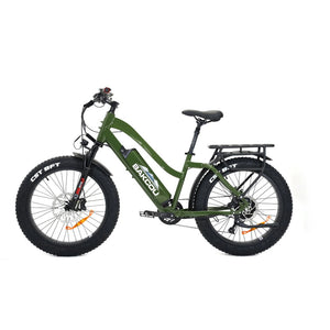 Bakcou Flatlander ST 24 E-Bike