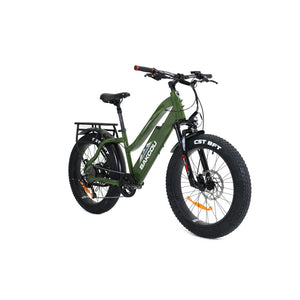 Bakcou Flatlander ST 24 E-Bike