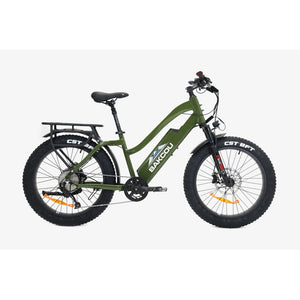 Bakcou Flatlander ST 24 E-Bike