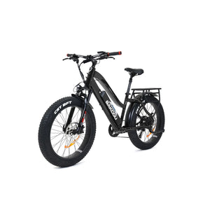 Bakcou Flatlander ST 24 E-Bike