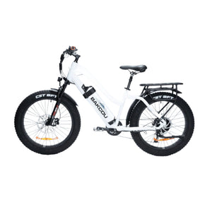 Bakcou Flatlander ST 24 E-Bike