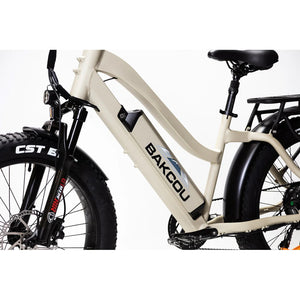 Bakcou Flatlander ST 24 E-Bike