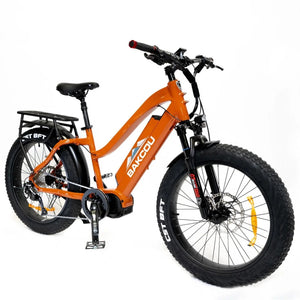 Bakcou Mule Step-Through (ST) 24" E-Bike