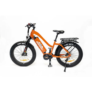 Bakcou Mule Step-Through (ST) 24" E-Bike