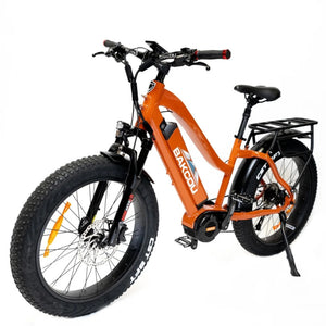 Bakcou Mule Step-Through (ST) 24" E-Bike