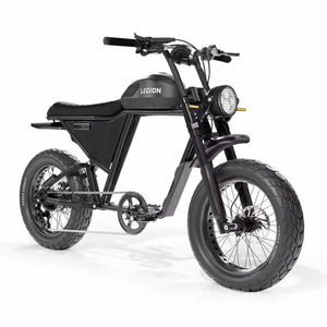 CycleBoard SCR-1200 E-Bike