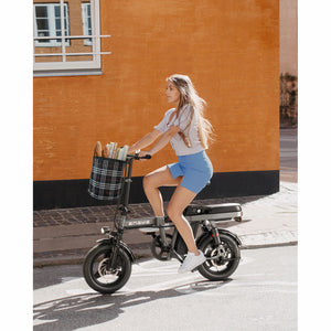 Engwe T14 Mini Folding E-Bike