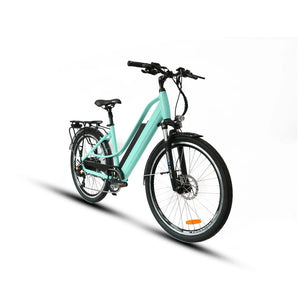 Eunorau E-Torque E-Bike