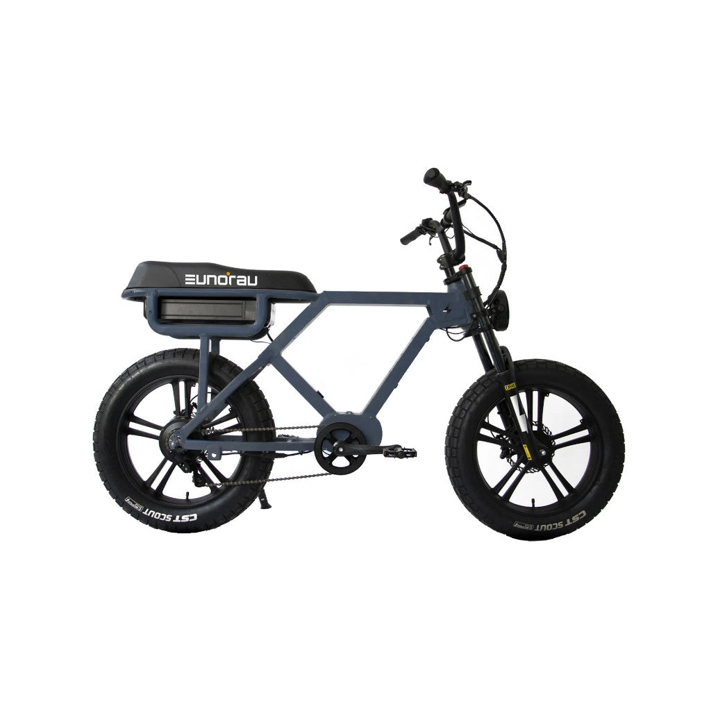 Eunorau Flash E-Bike