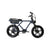 Eunorau Flash E-Bike