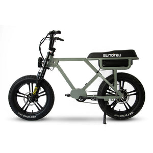 Eunorau Flash E-Bike