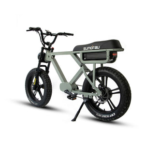 Eunorau Flash E-Bike