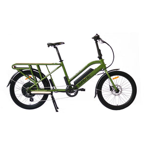 Eunorau Max-Cargo E-Bike