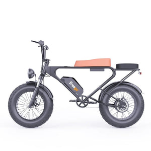 Freego DK200 E-Bike