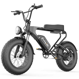 Freego DK200 E-Bike