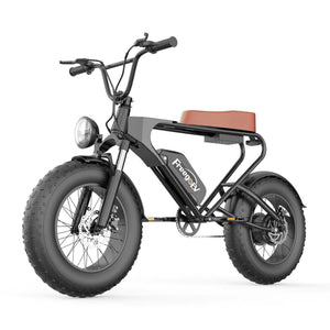 Freego DK200 E-Bike