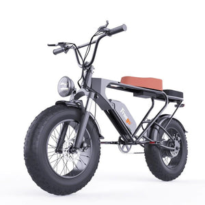 Freego DK200 E-Bike