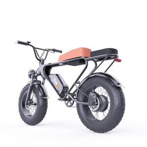 Freego DK200 E-Bike