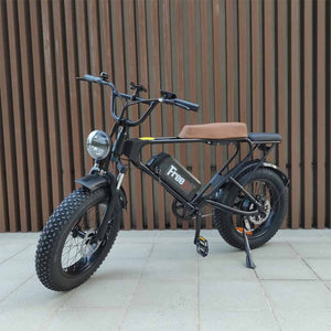 Freego DK200 E-Bike