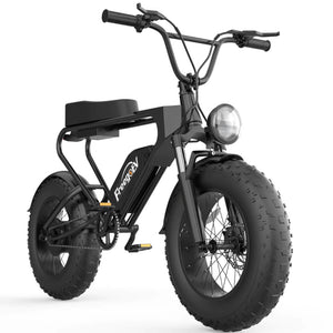 Freego DK200 E-Bike