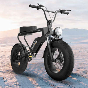 Freego DK200 E-Bike